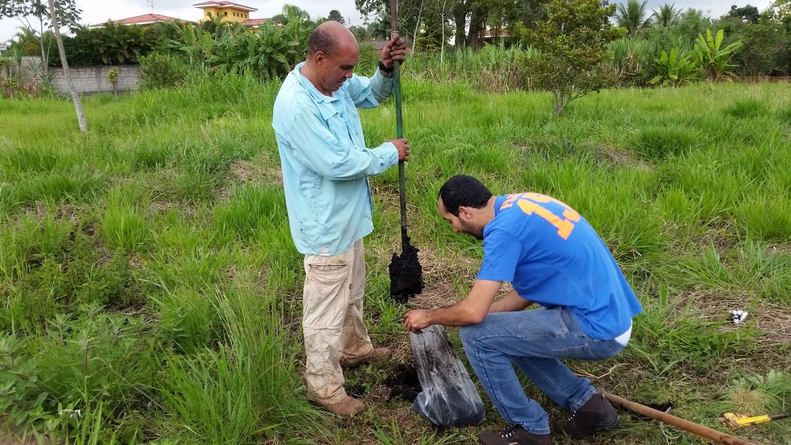 Coleta de amostras com trado